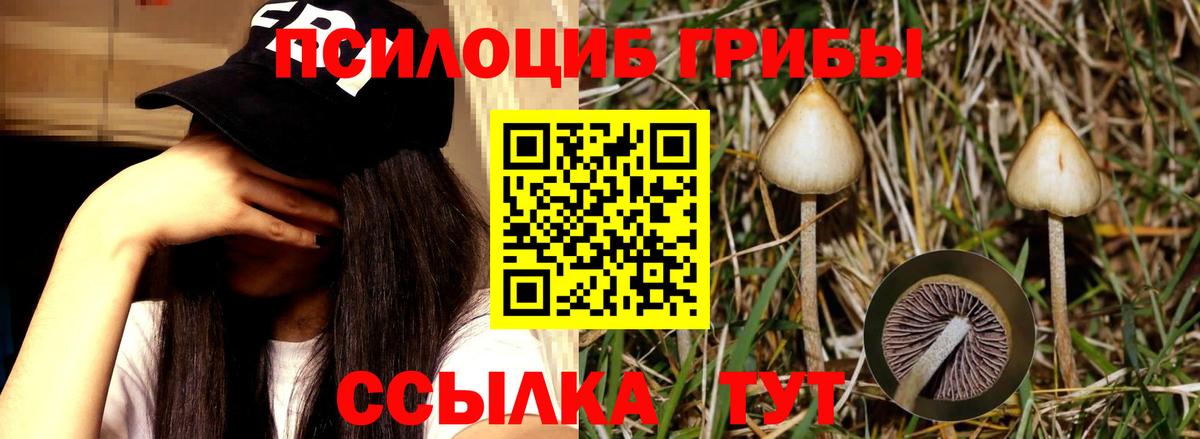 Галлюциногенные грибы MAGIC MUSHROOMS Сосновоборск